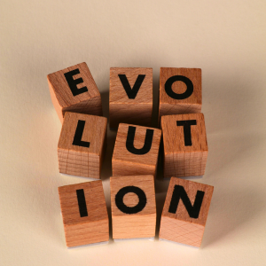 make the most of coaching investment